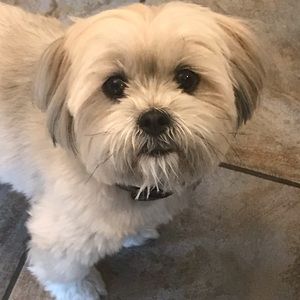 Meet your Posher, Mark